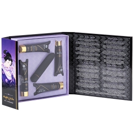 Набор Shunga Naughty Geisha